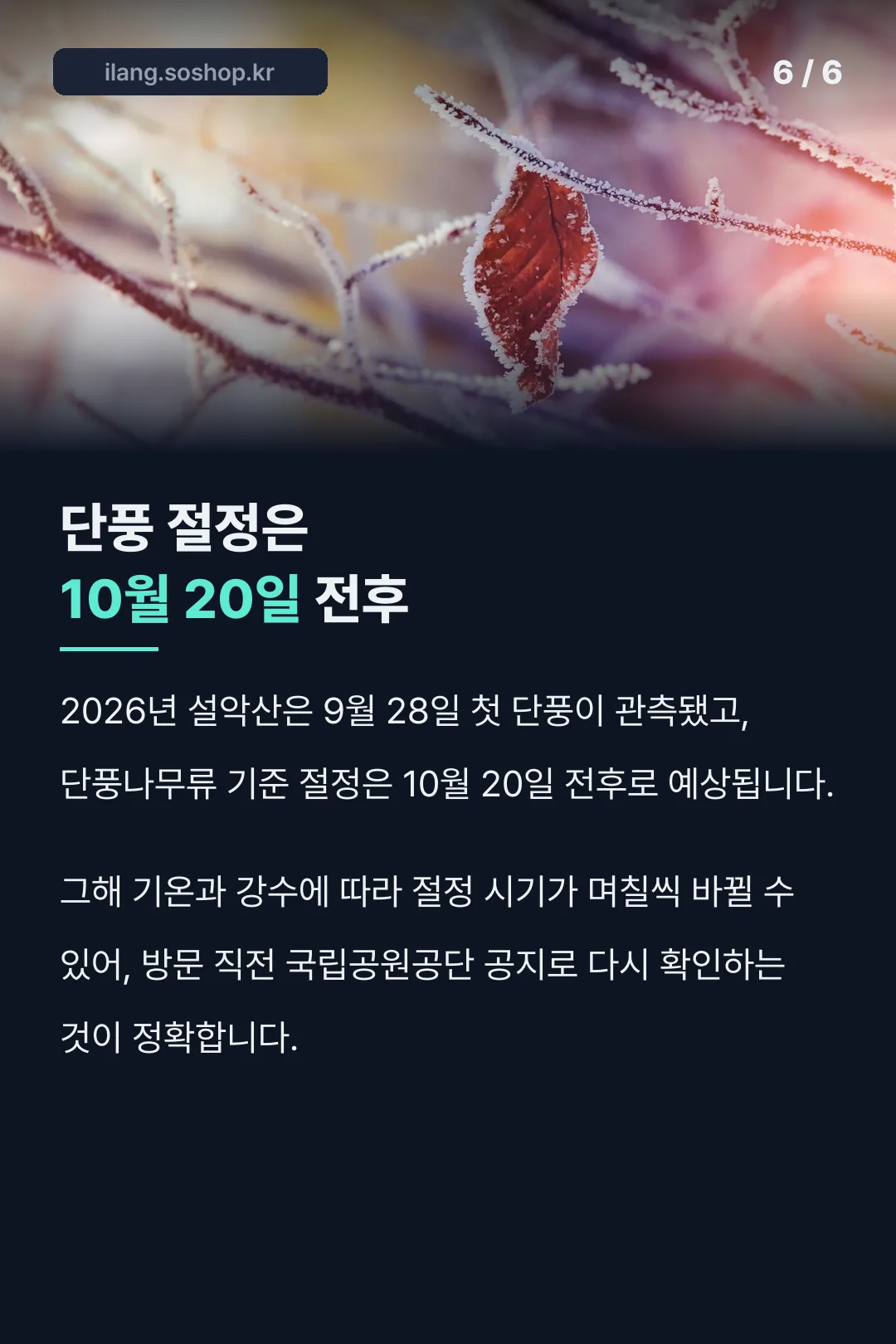 단풍 절정 시기 예상