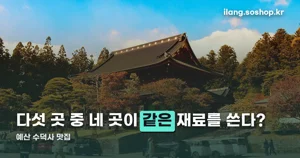 예산 수덕사 맛집 — 왜 다들 더덕을 파나
