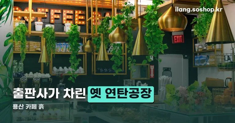 용산 카페 흙 정리 썸네일