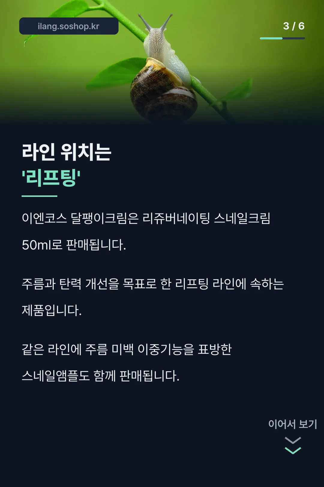 리프팅 라인 소개
