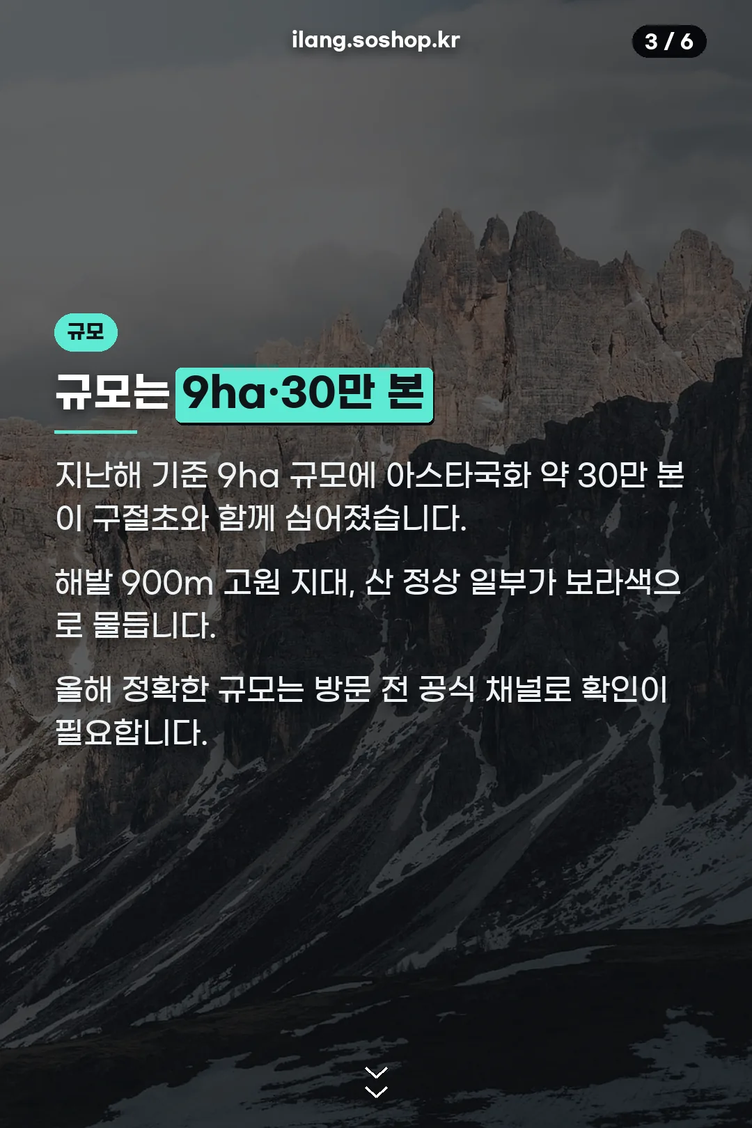 행사 규모 설명