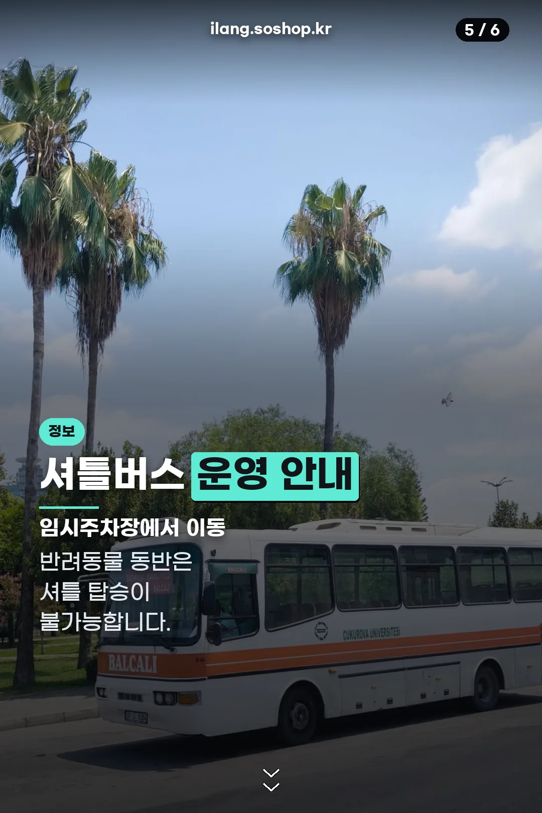 셔틀버스 운영 정보