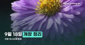 거창 아스타꽃축제 정리 썸네일
