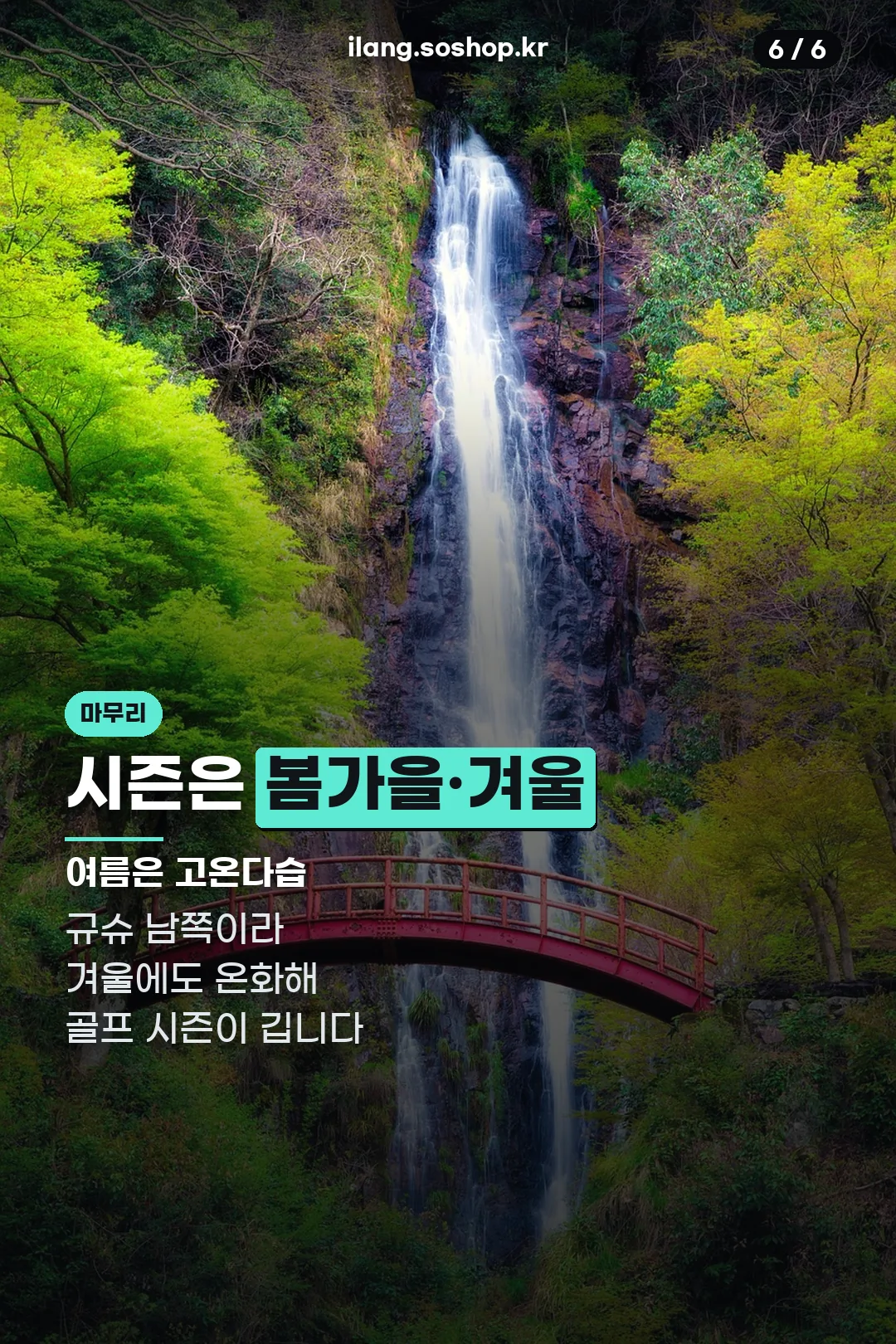 골프 시즌 안내