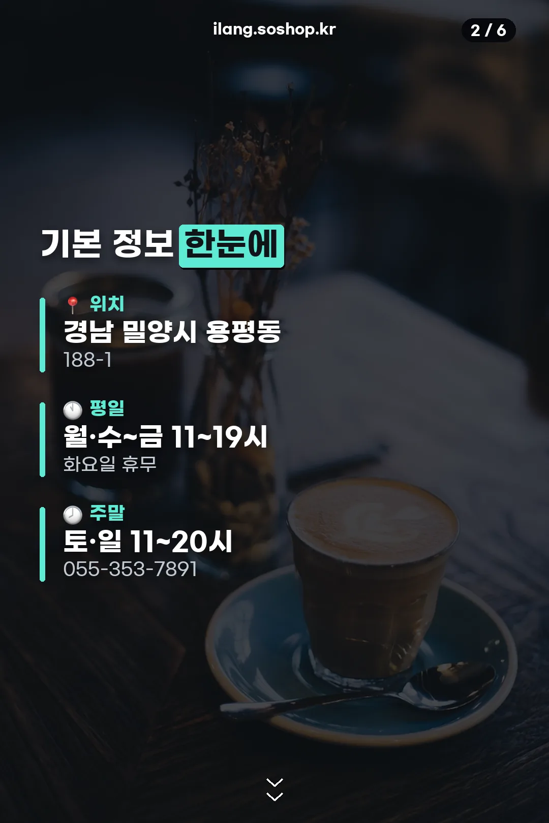 기본 정보 한눈에 보기