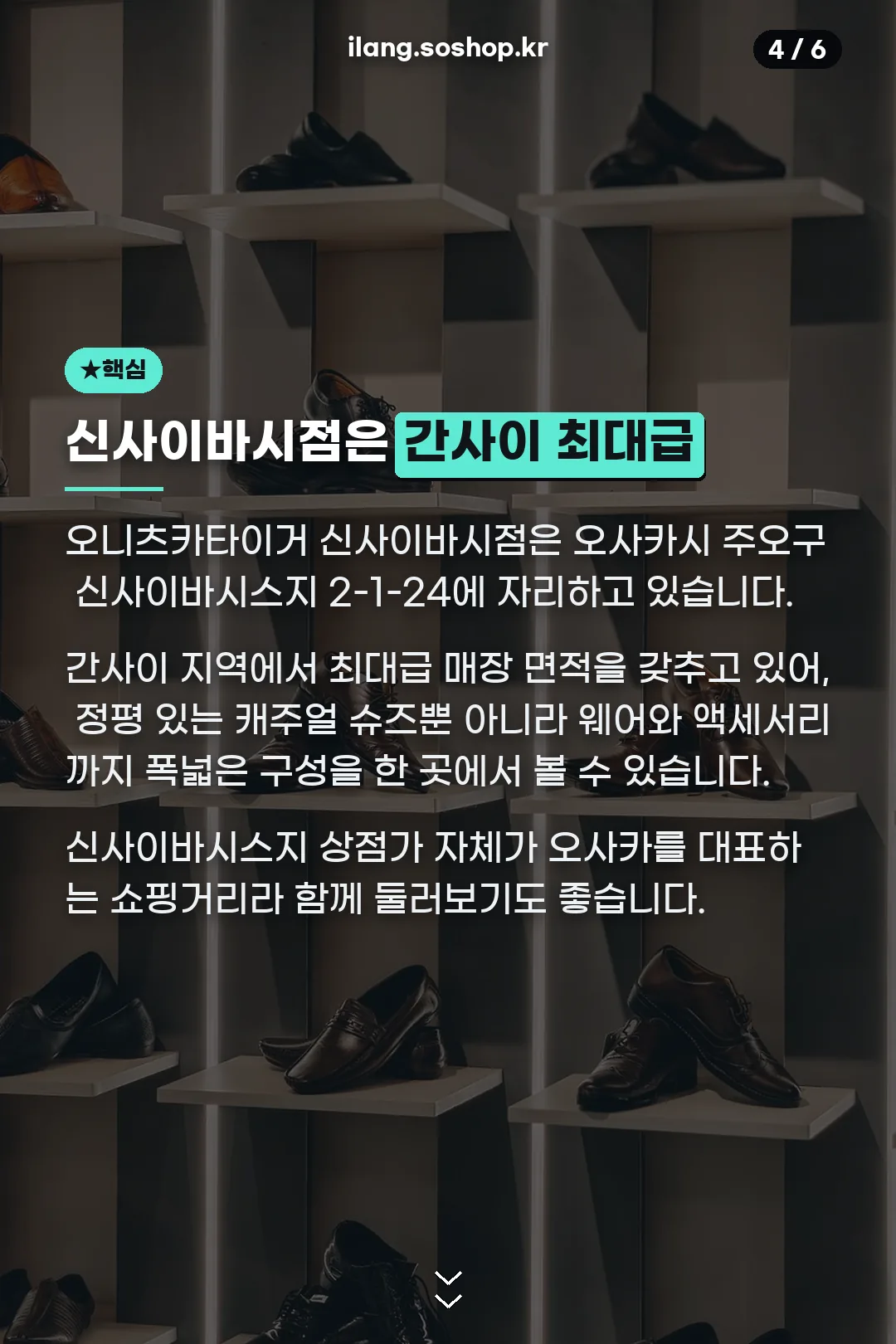 신사이바시점 규모 설명
