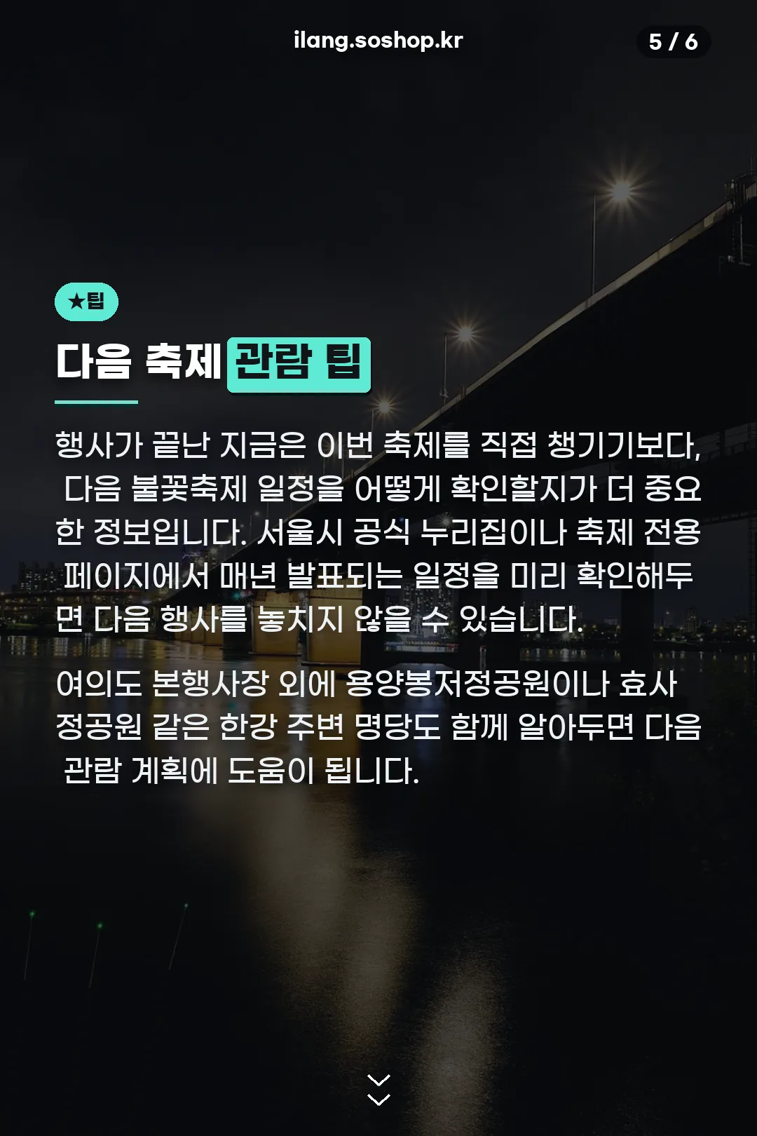 다음 축제 관람 팁