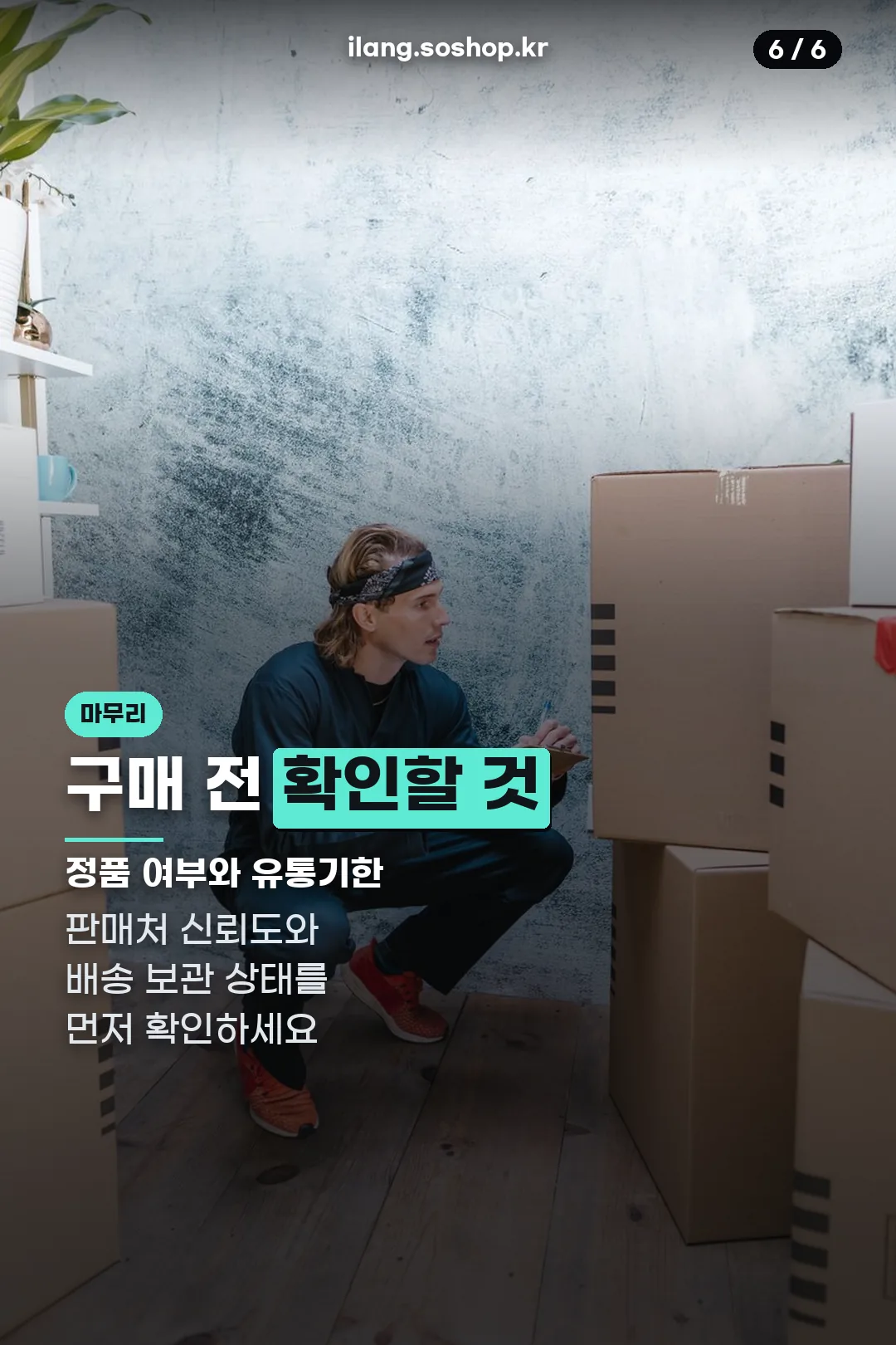 구매 전 확인사항