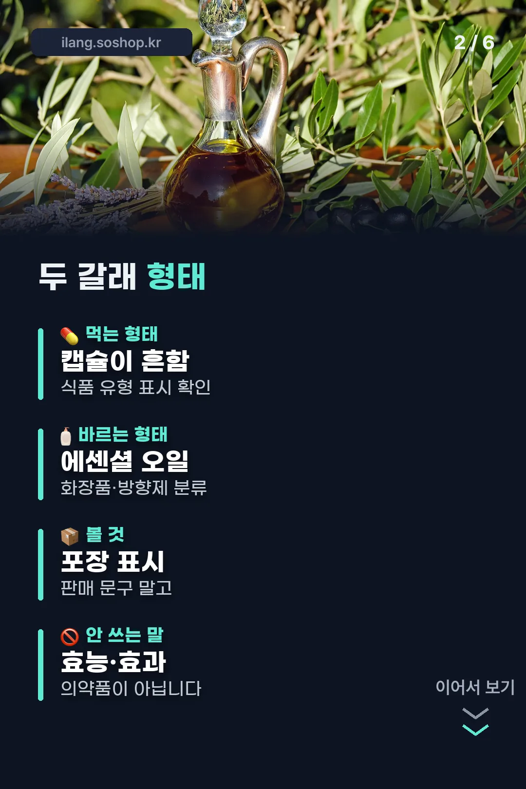 두 갈래 형태