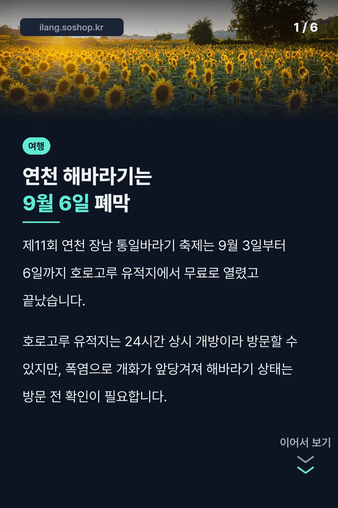 연천 해바라기는 9월 6일 폐막
