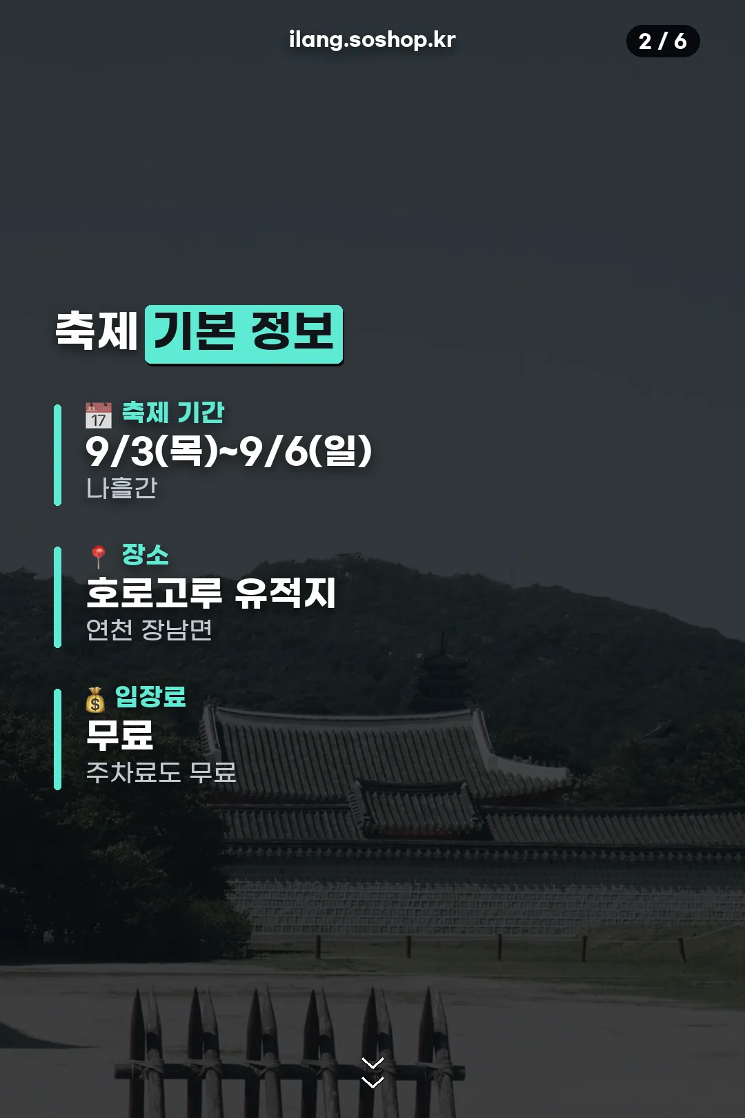 축제 기본 정보