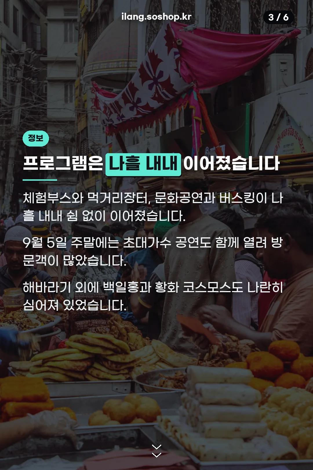 축제 프로그램 안내