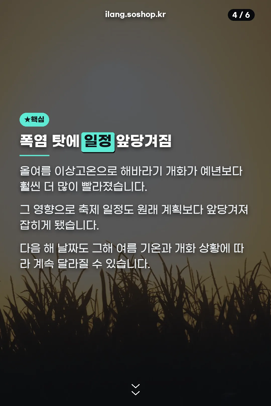 폭염으로 앞당겨진 일정