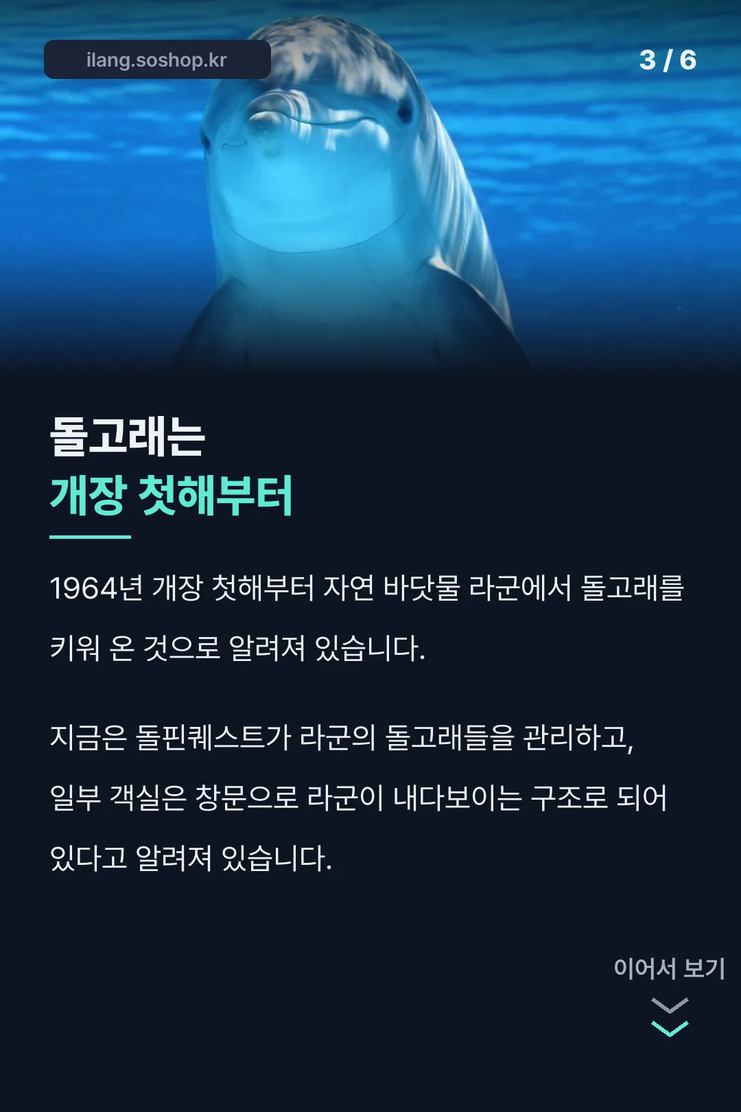 개장 첫해부터 있던 돌고래 라군