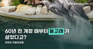 하와이 카할라호텔 — 1964년부터 60년 넘게 돌고래 라군을 지켰습니다