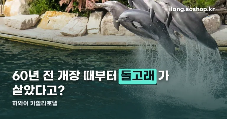 하와이 카할라호텔 정리 썸네일