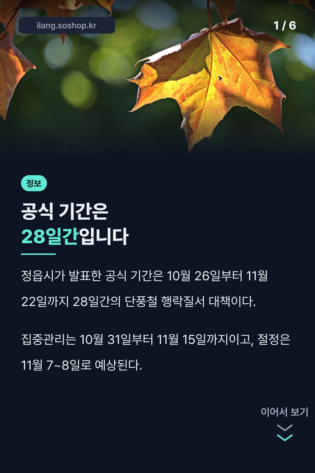 정읍 단풍축제 핵심 결론