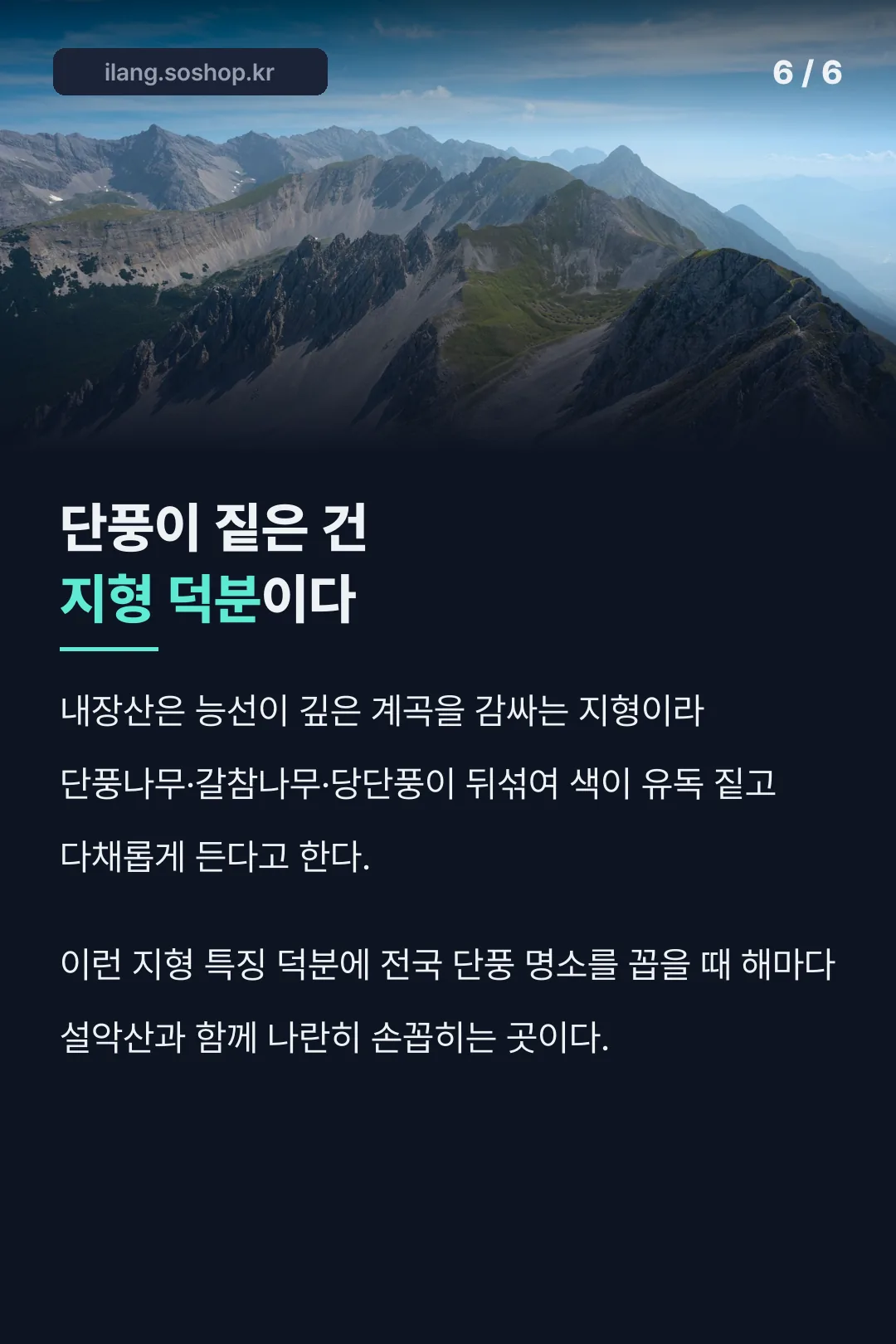 내장산 단풍이 짙은 이유