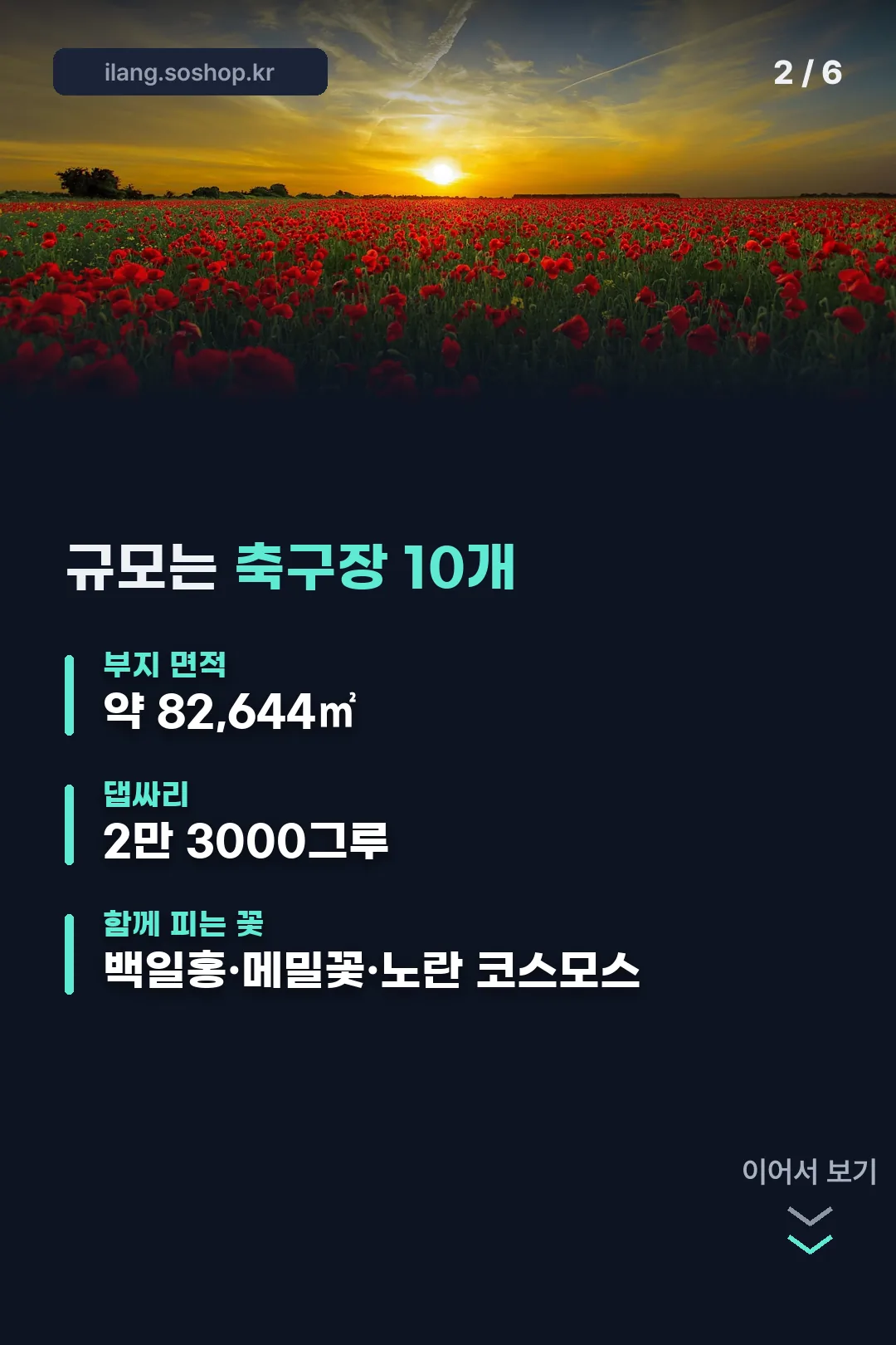 규모 정보