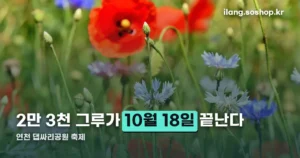 연천 댑싸리공원 축제, 10월 18일까지만 볼 수 있습니다